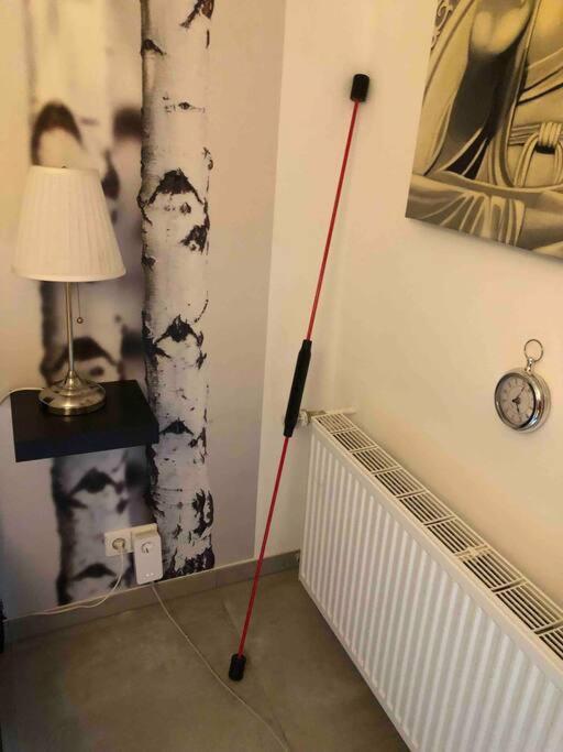 Willkommen Im Casa Felice, Der Wohlfuehl Oase Mit Balkon, 4 Betten Und Homeoffice Platz Aidlingen Exteriér fotografie