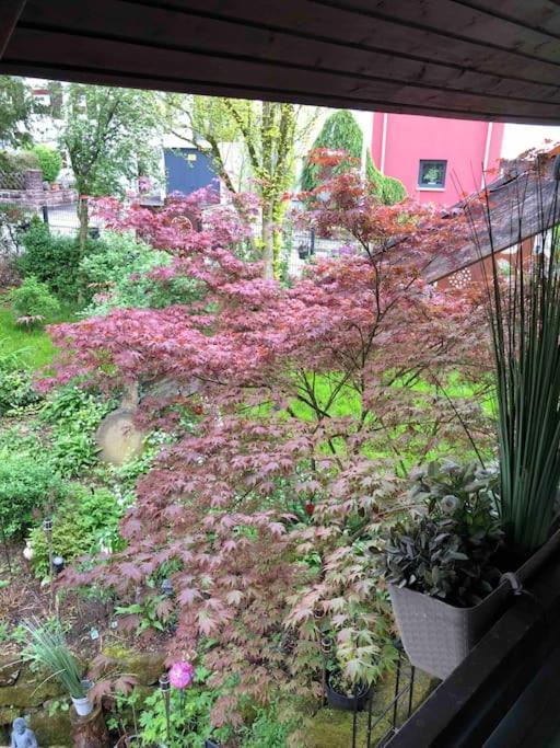Willkommen Im Casa Felice, Der Wohlfuehl Oase Mit Balkon, 4 Betten Und Homeoffice Platz Aidlingen Exteriér fotografie